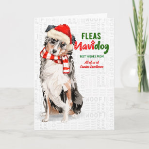 Australian Shepherd Fleas Navidog Christmas Custom Holiday Card