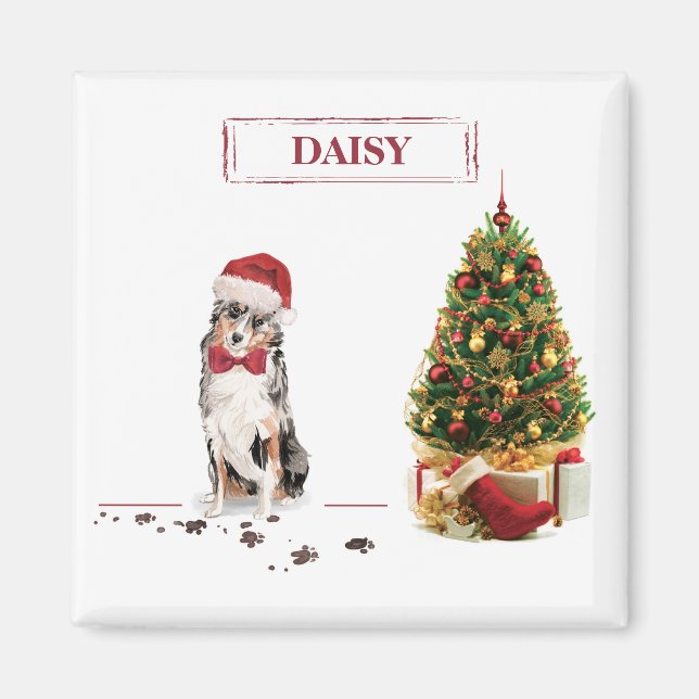 Australian Shepherd Funny Christmas Dog with Tree Magnet (Front)