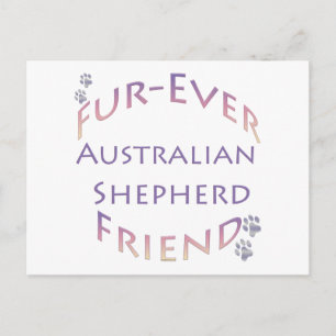 Australian Shepherd Furever Postcard