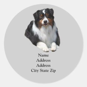 Australian Shepherd Guardian Address Label