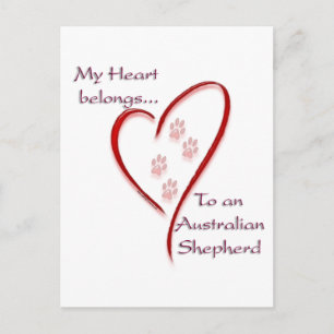Australian Shepherd Heart Belongs Postcard