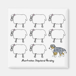 Australian Shepherd Herding Sheep Magnet