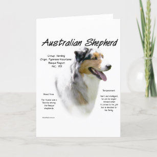 Australian Shepherd History Design Holiday Card