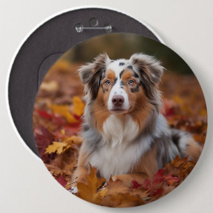Australian Shepherd  in Autumn Leaves Fall Inspire 6 Cm Round Badge