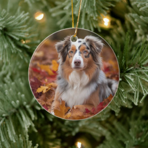 Australian Shepherd  in Autumn Leaves Fall Inspire Ceramic Ornament