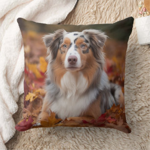 Australian Shepherd  in Autumn Leaves Fall Inspire Cushion