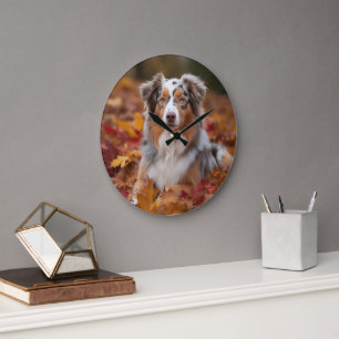 Australian Shepherd in Autumn Leaves Fall Inspire Large Clock