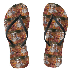 Australian Shepherd in Autumn Leaves Fall Inspire Thongs