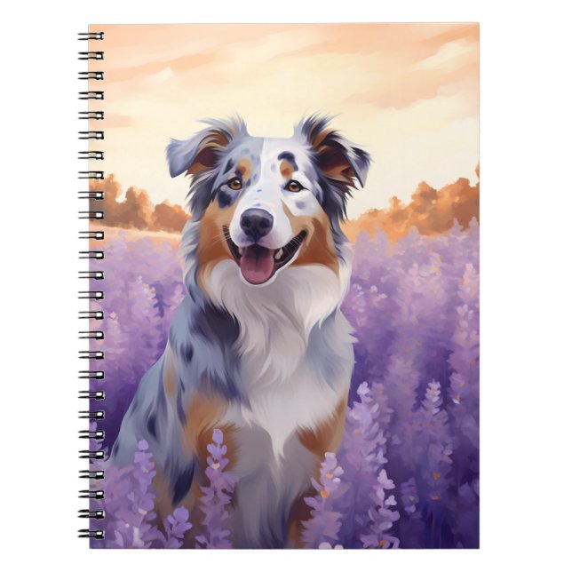 Australian Shepherd in Lavender field Notebook (Front)