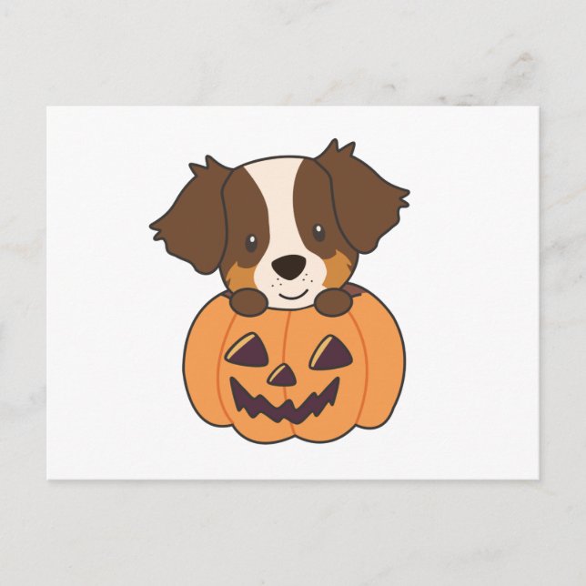 Australian Shepherd In Pumpkin Cute Happy Postcard (Front)