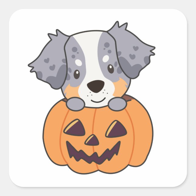Australian Shepherd In Pumpkin Cute Happy Square S Sticker (Front)