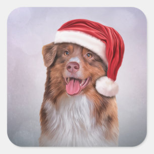 Australian Shepherd in red hat of Santa Claus 3 Square Sticker