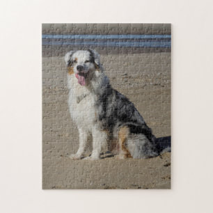 Australian Shepherd Jigsaw Puzzle
