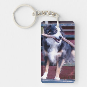 Australian Shepherd Keychain