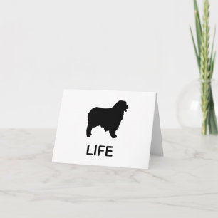 australian shepherd life card