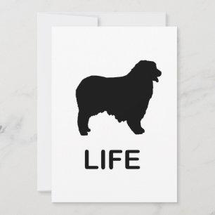 australian shepherd life invitation