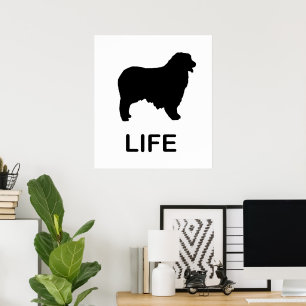 australian shepherd life poster