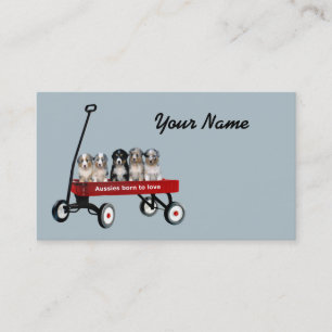 Australian Shepherd Lover Business Card