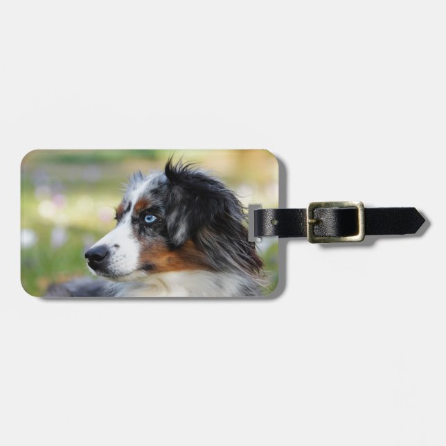 australian-shepherd luggage tag (Front Horizontal)