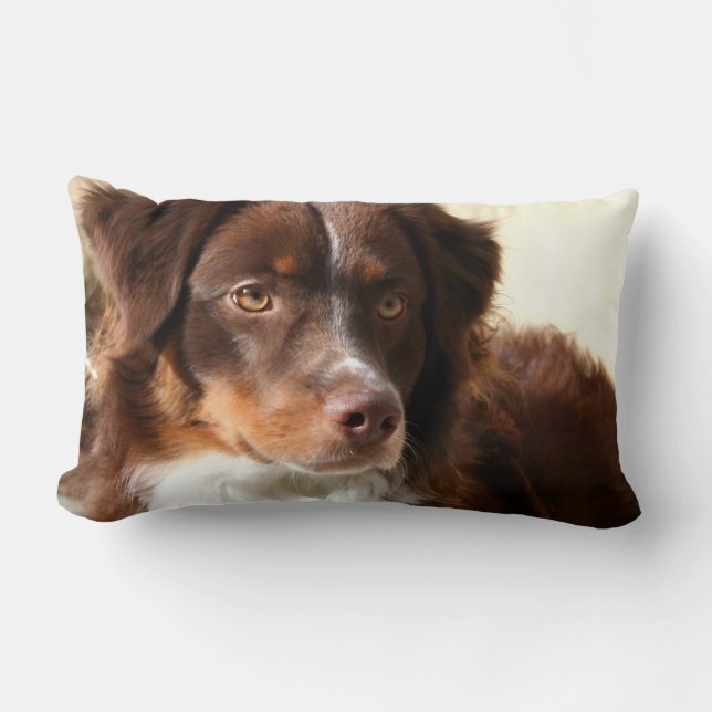 Australian Shepherd Lumbar Cushion (Front)
