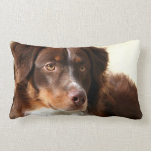 Australian Shepherd Lumbar Cushion