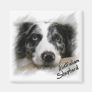 Australian Shepherd Magnet