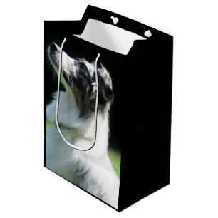 Australian Shepherd Medium Gift Bag