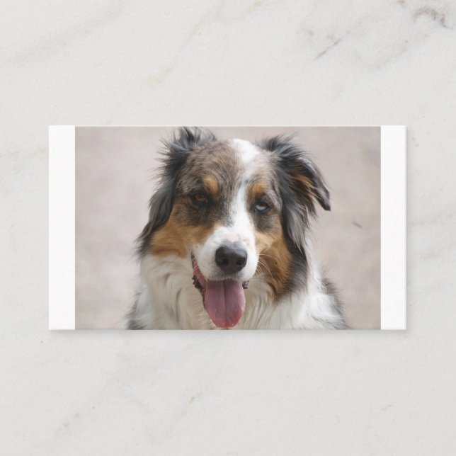 australian shepherd merle business card (Front)