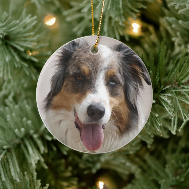 australian shepherd merle ceramic ornament (Tree)