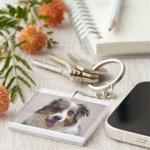 australian shepherd merle key ring