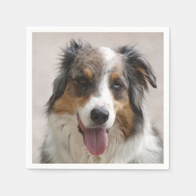 australian shepherd merle napkin (Front)