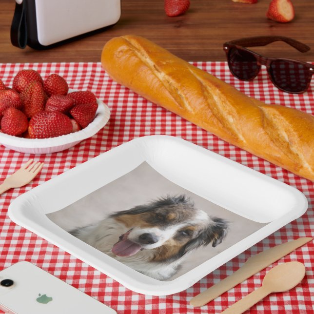 australian shepherd merle paper plate (Picnic)