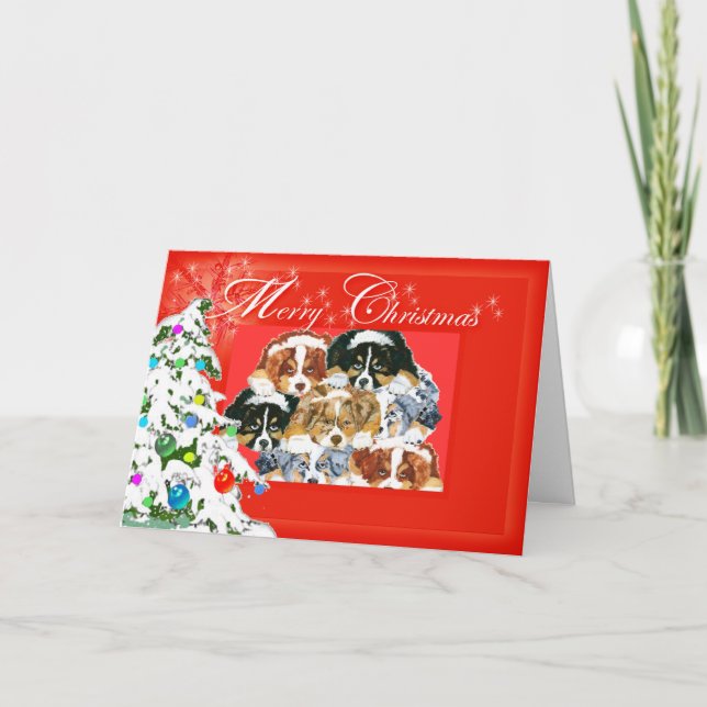 Australian Shepherd Merry Christmas Holiday Card (Front)