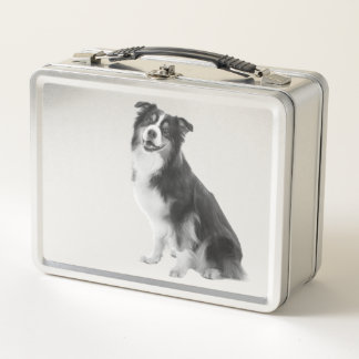 Australian Shepherd Motiv Metal Lunch Box