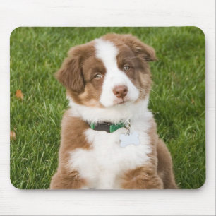 Australian Shepherd Mousepad