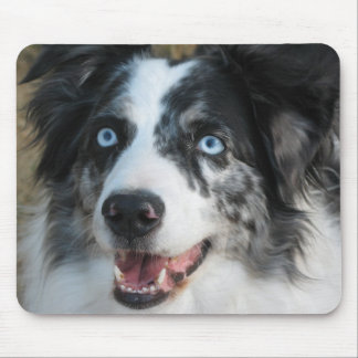 Australian Shepherd Mousepad
