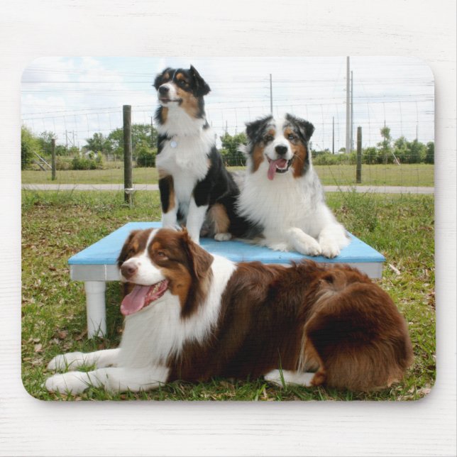 Australian Shepherd Mousepad (Front)
