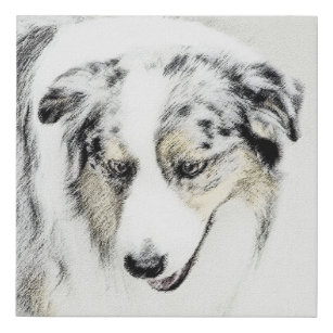 Australian Shepherd Painting - Original Dog Art Faux Canvas Print