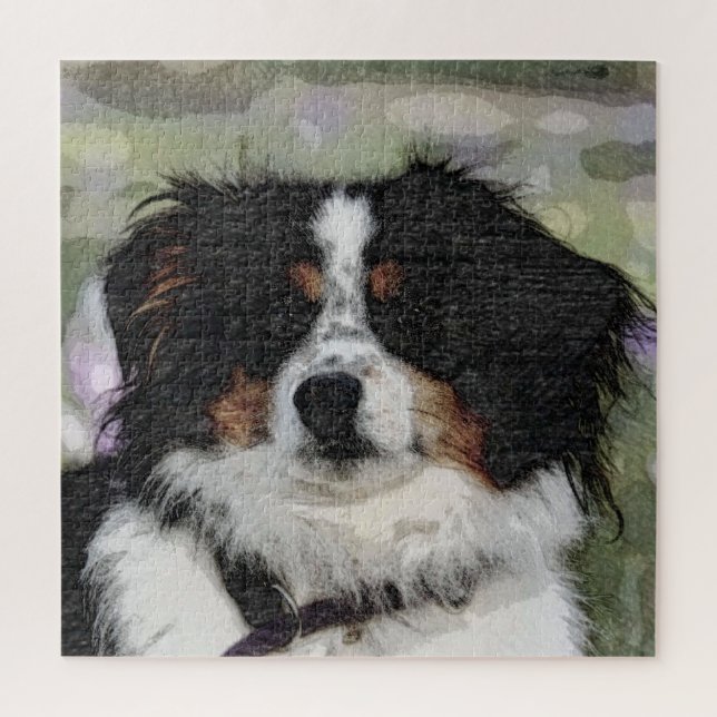 Australian shepherd, Pet, Dog Jigsaw Puzzle (Vertical)