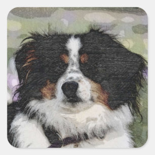 Australian shepherd, Pet, Dog Square Sticker