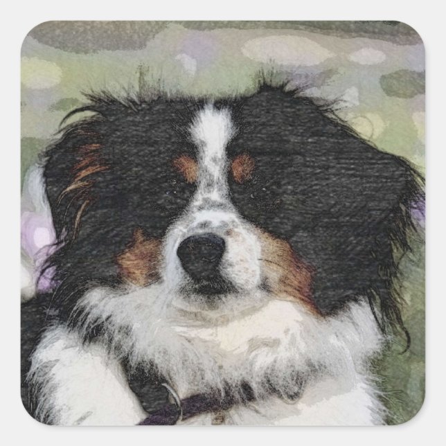 Australian shepherd, Pet, Dog Square Sticker (Front)