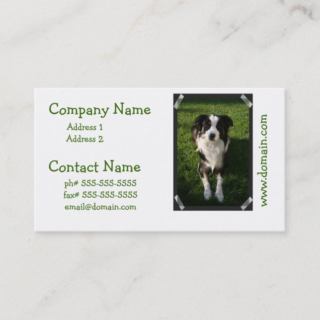 Australian Shepherd Photo Business Card (Front)