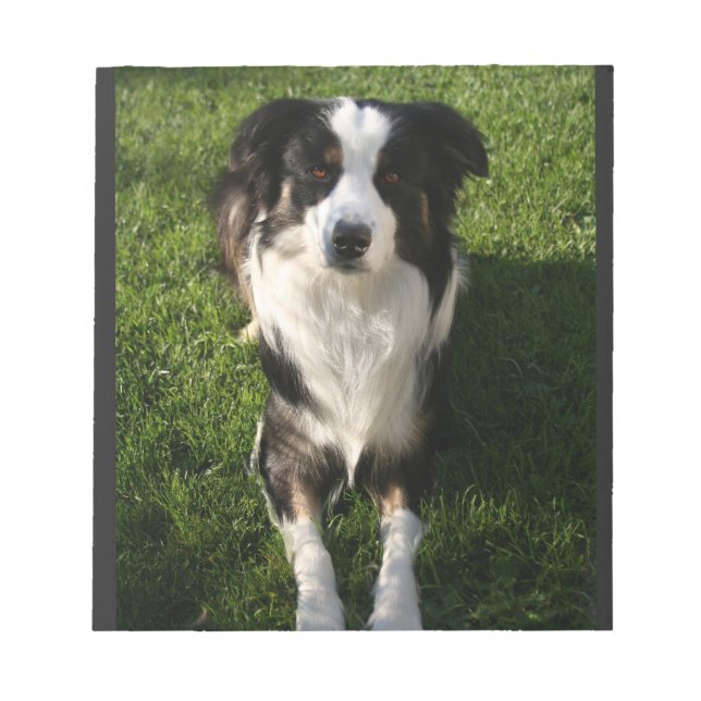Australian Shepherd Photo Notepad (Front)