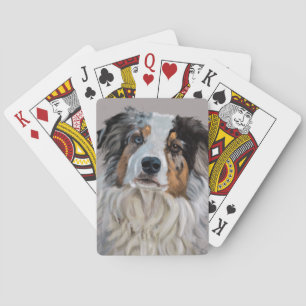australian shepherd playing cards