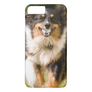 Australian Shepherd Playing With Ball iPhone 8 Plus/7 Plus Case