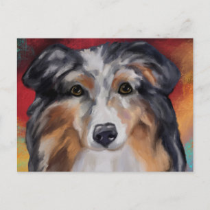 AUSTRALIAN SHEPHERD    POSTCARD