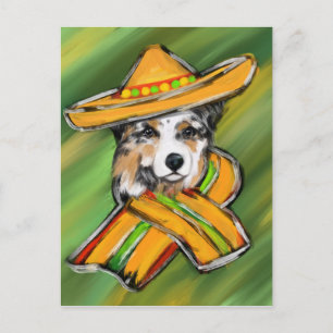 Australian Shepherd Postcard