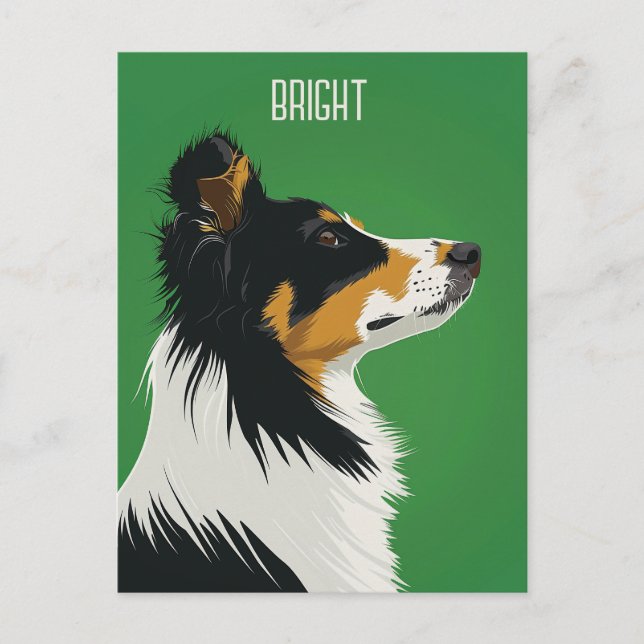 Australian Shepherd Postcard (Front)