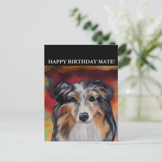 AUSTRALIAN SHEPHERD  POSTCARD (Standing Front)