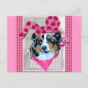 AUSTRALIAN SHEPHERD POSTCARD